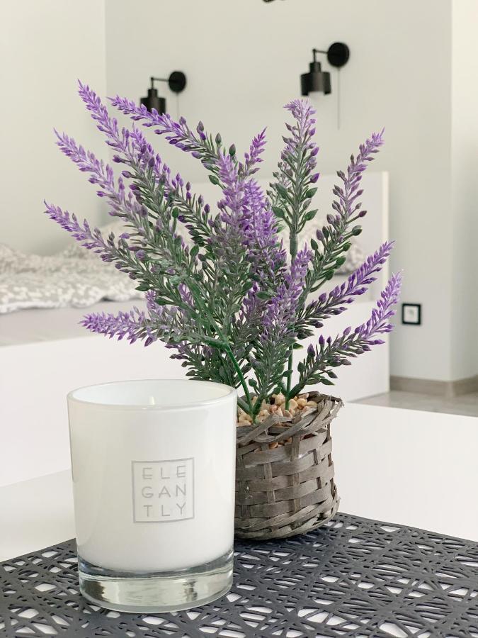 Apartament Chyba Snisz Łańcut 외부 사진