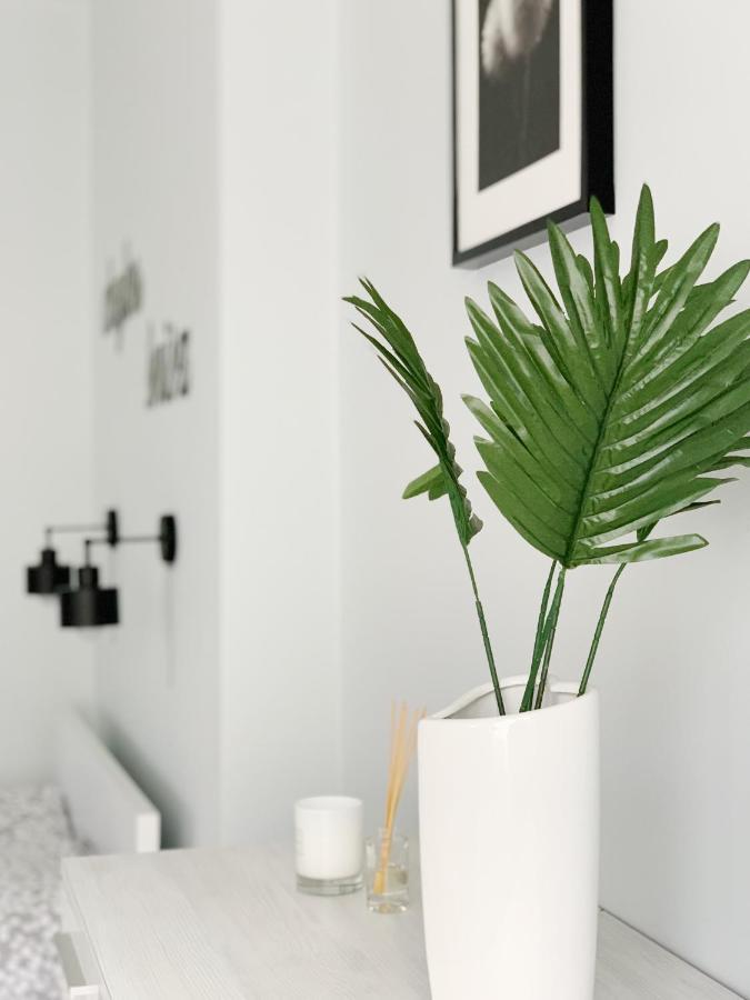 Apartament Chyba Snisz Łańcut 외부 사진
